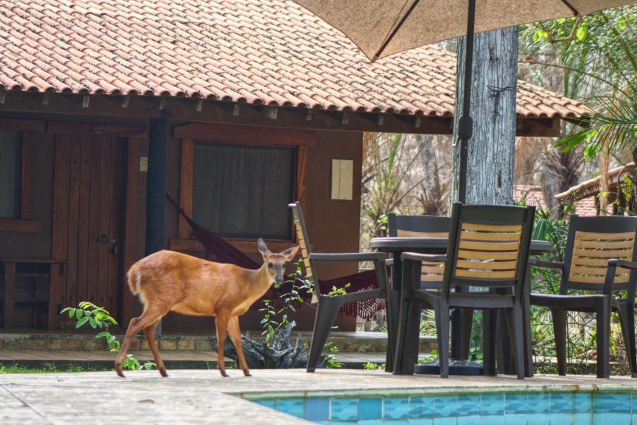 Aymara Lodge Poconé Exterior photo
